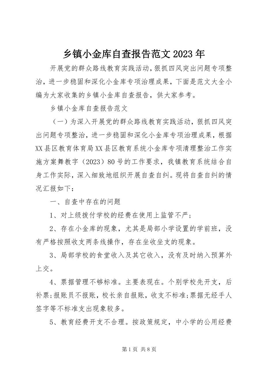 2023年乡镇小金库自查报告.docx_第1页