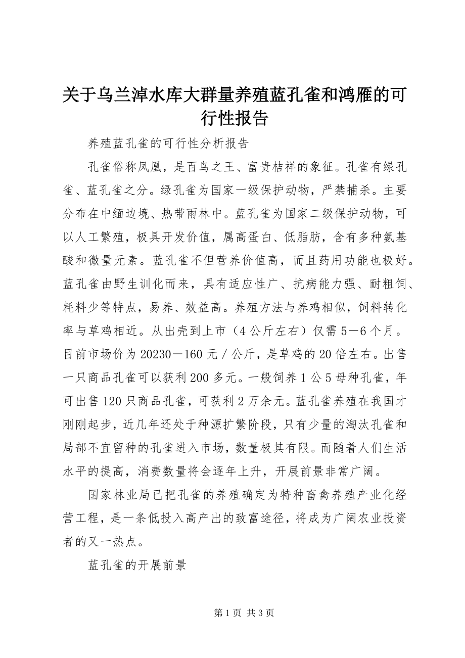 2023年乌兰淖水库大群量养殖蓝孔雀和鸿雁的可行性报告.docx_第1页