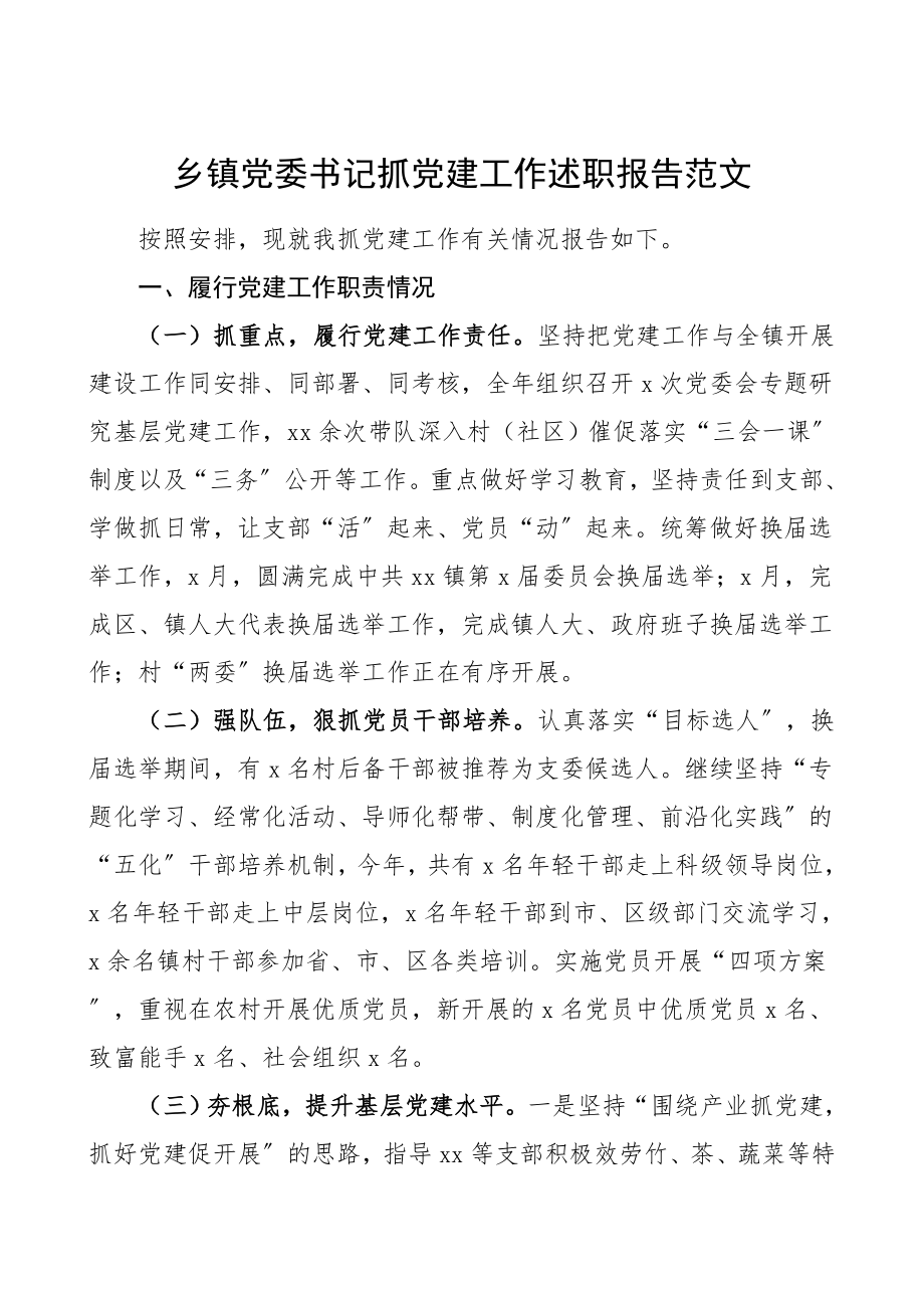 2023年书记述职乡镇党委书记抓党建工作述职报告范文.doc_第1页