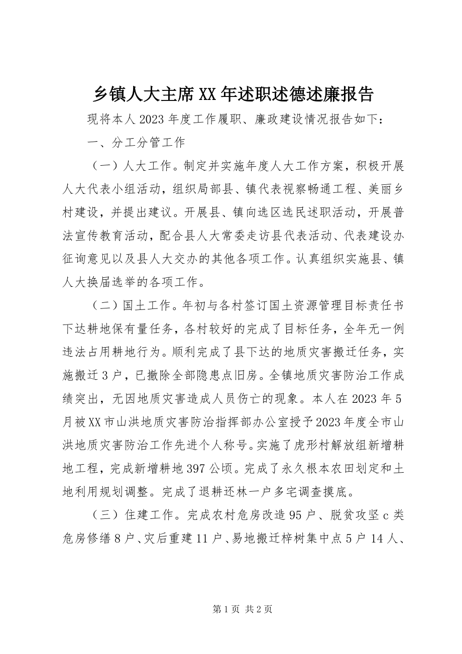 2023年乡镇人大主席述职述德述廉报告.docx_第1页