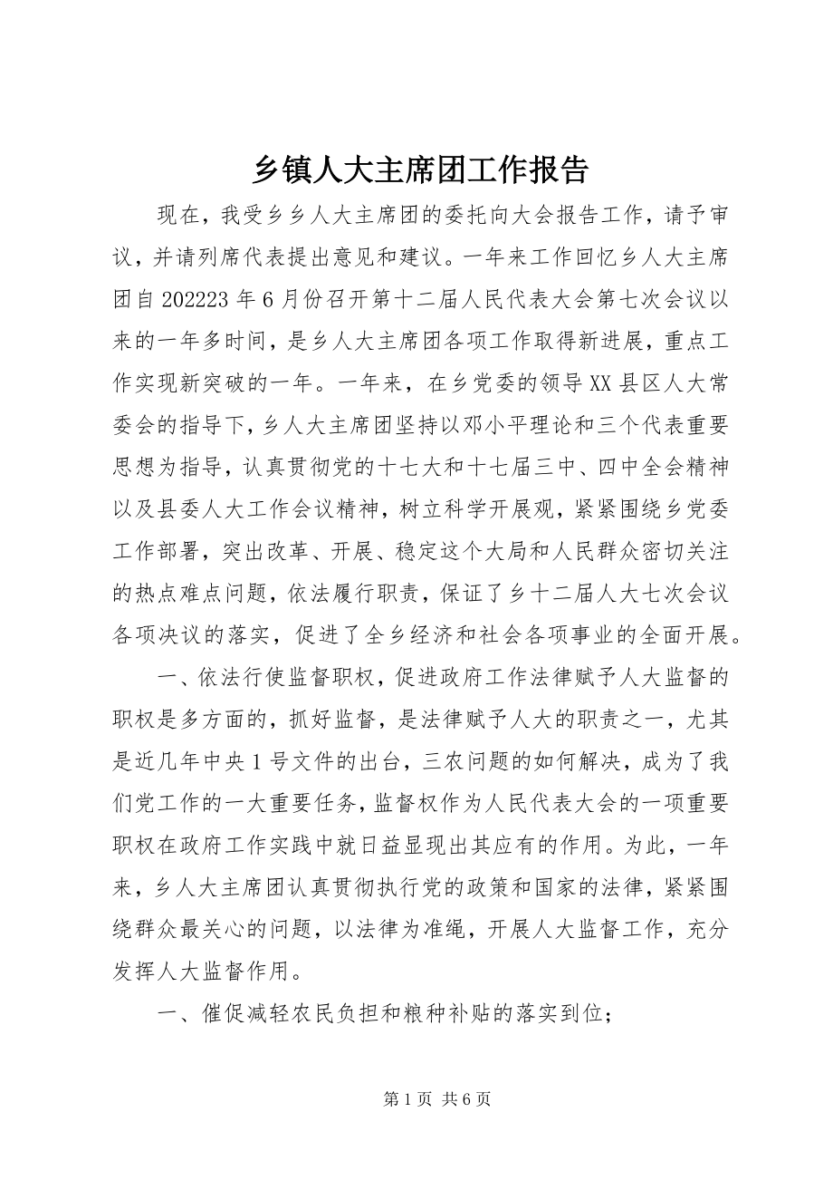 2023年乡镇人大主席团工作报告.docx_第1页