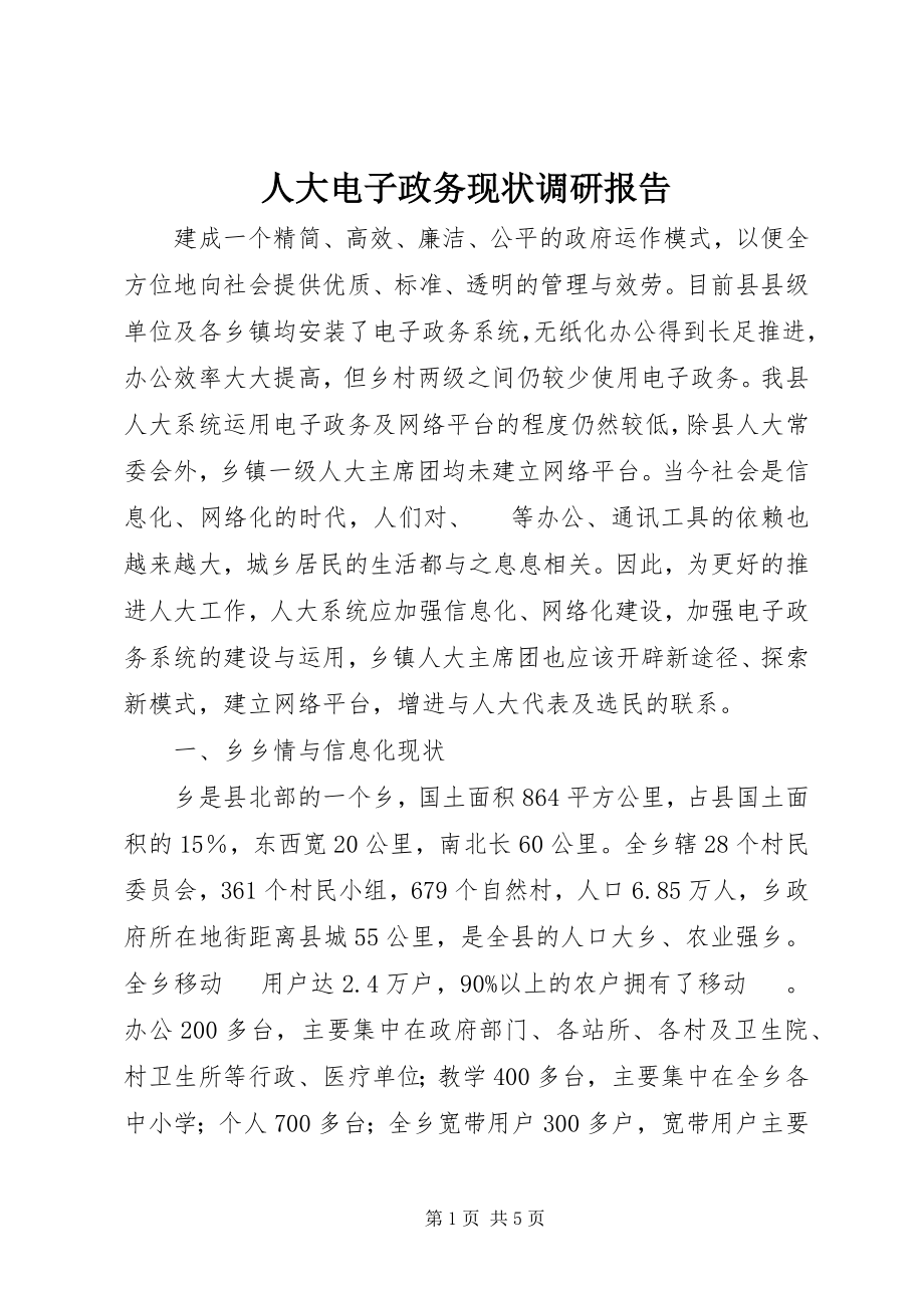 2023年人大电子政务现状调研报告.docx_第1页