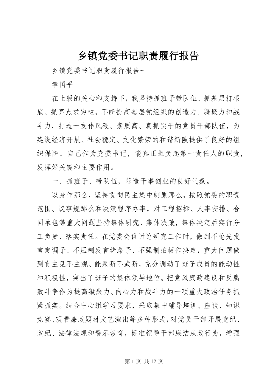 2023年乡镇党委书记职责履行报告.docx_第1页