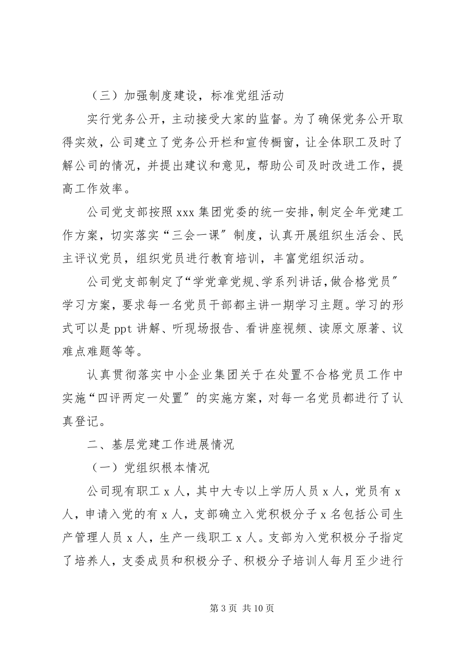 2023年公司党支部书记抓基层党建工作专项述职报告.docx_第3页