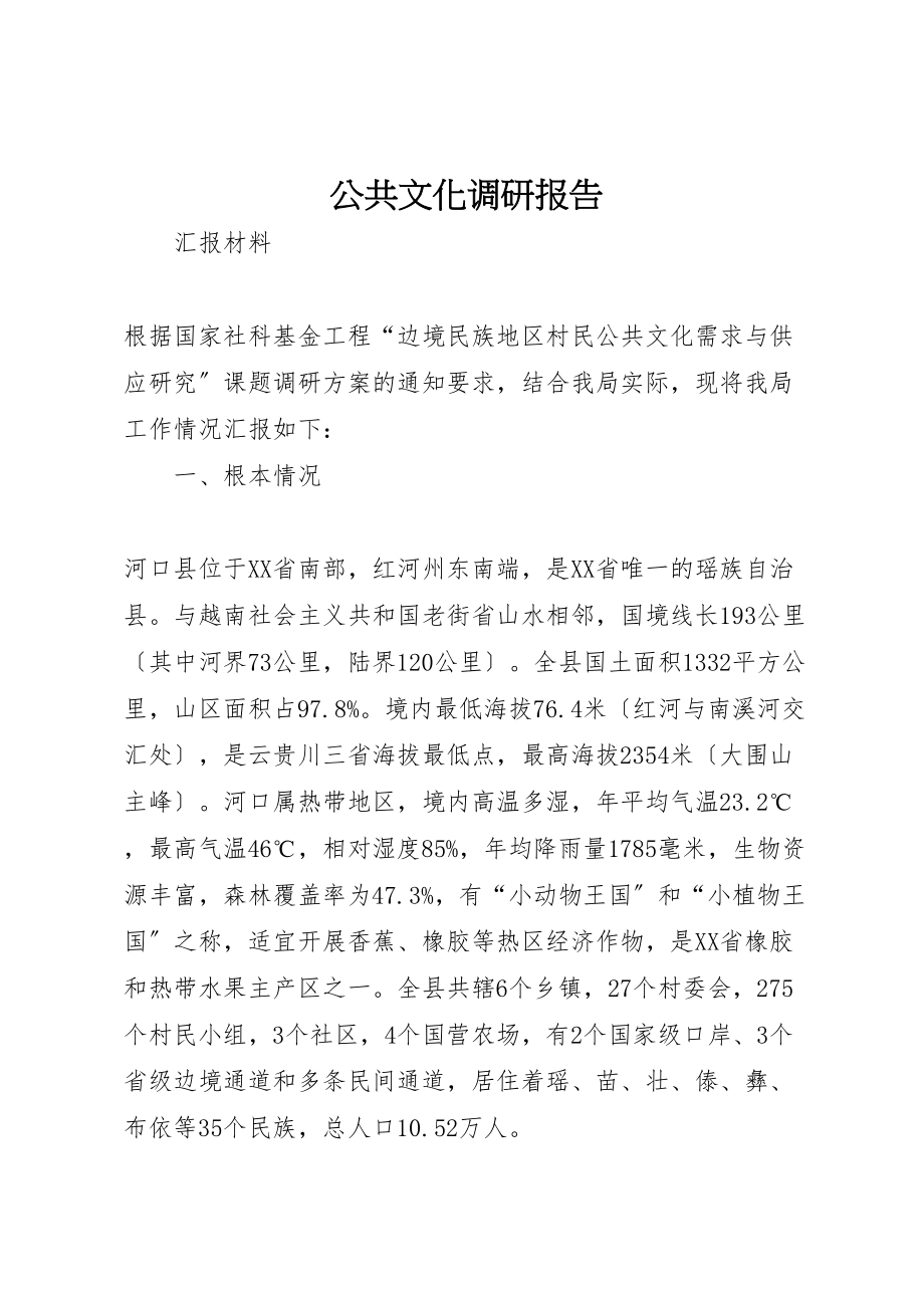 2023年公共文化调研报告.doc_第1页