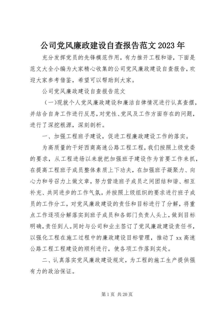 2023年公司党风廉政建设自查报告某年2.docx_第1页