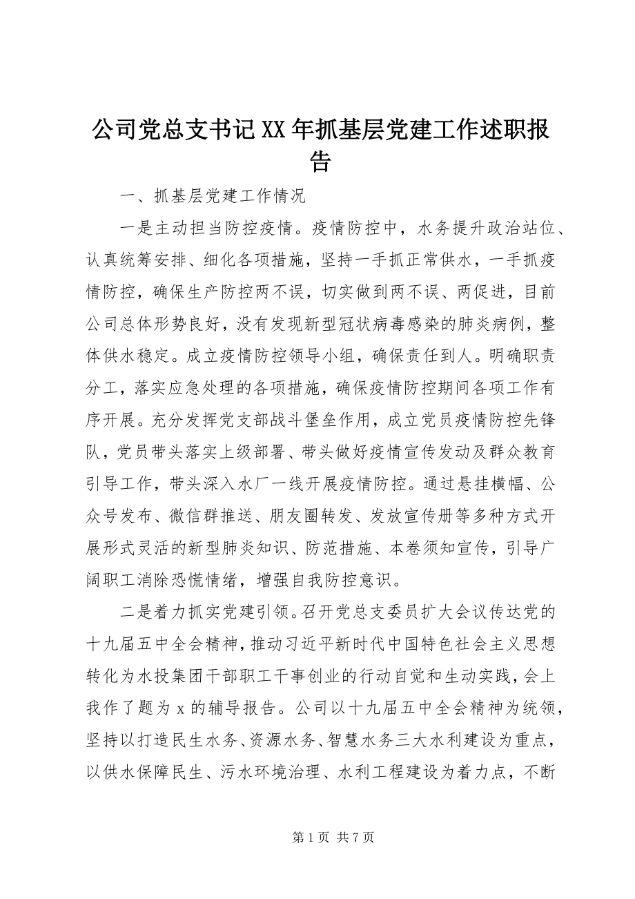 2023年公司党总支书记某年抓基层党建工作述职报告.docx_第1页