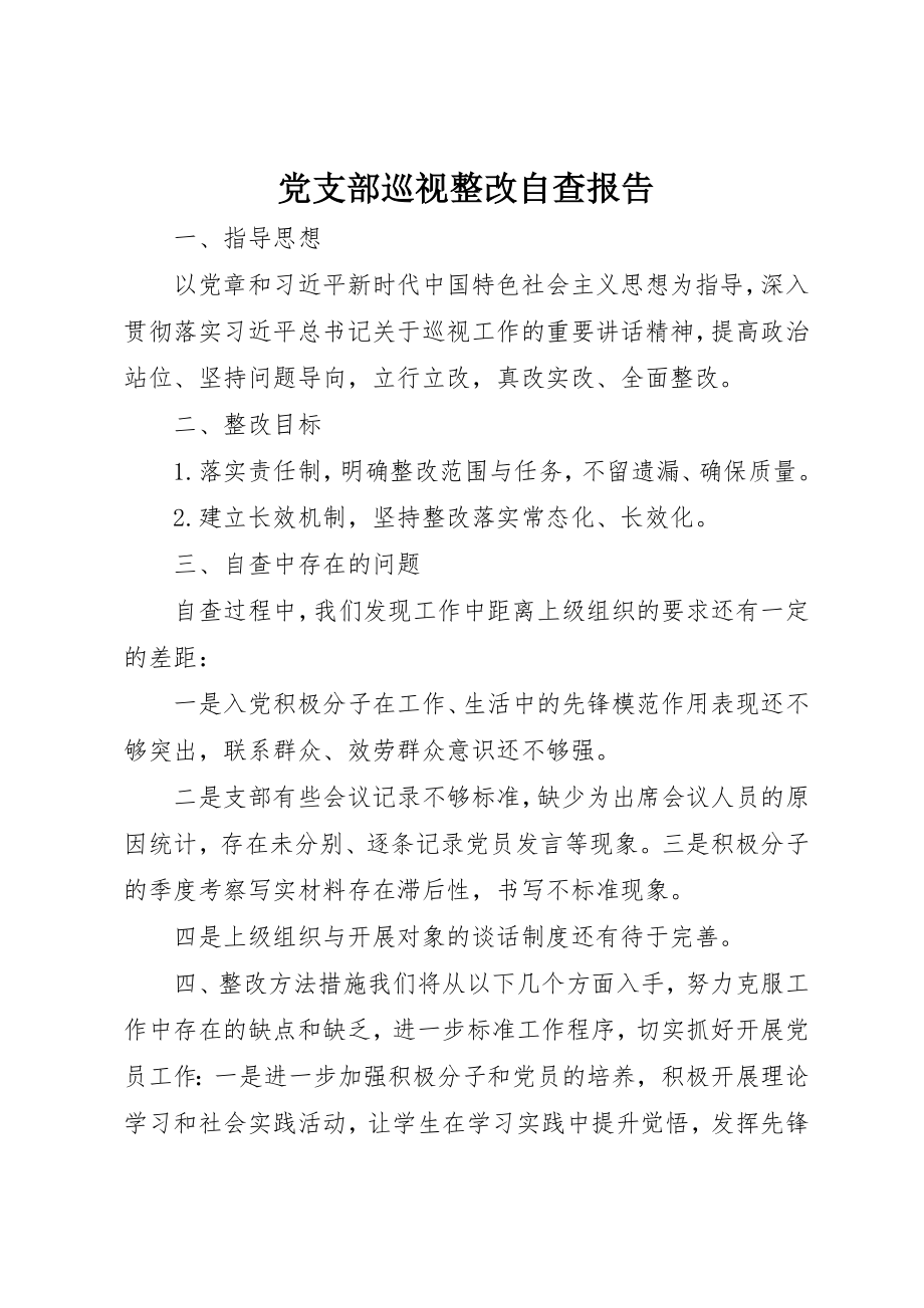 2023年党支部巡视整改自查报告.docx_第1页