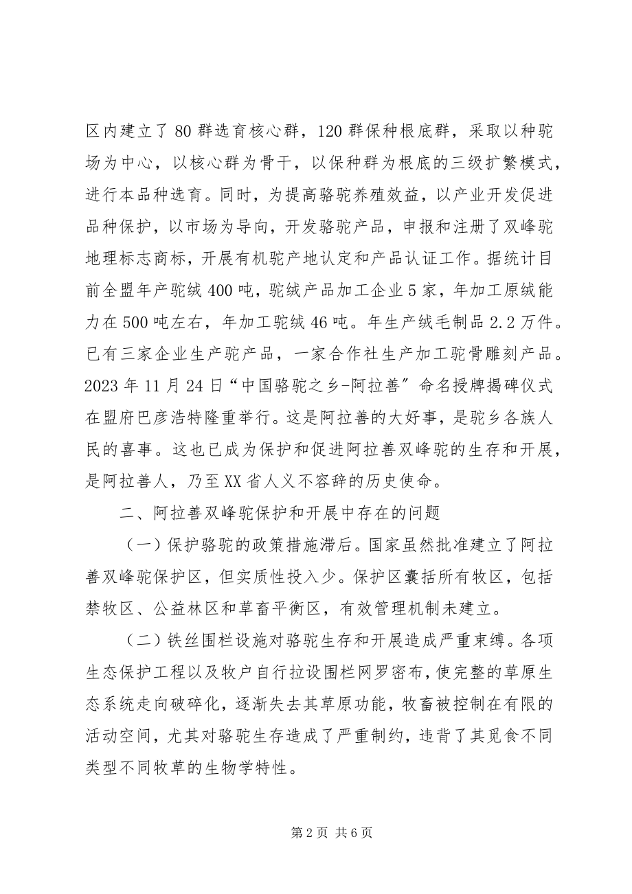 2023年保护和发展双峰驼的调研报告.docx_第2页