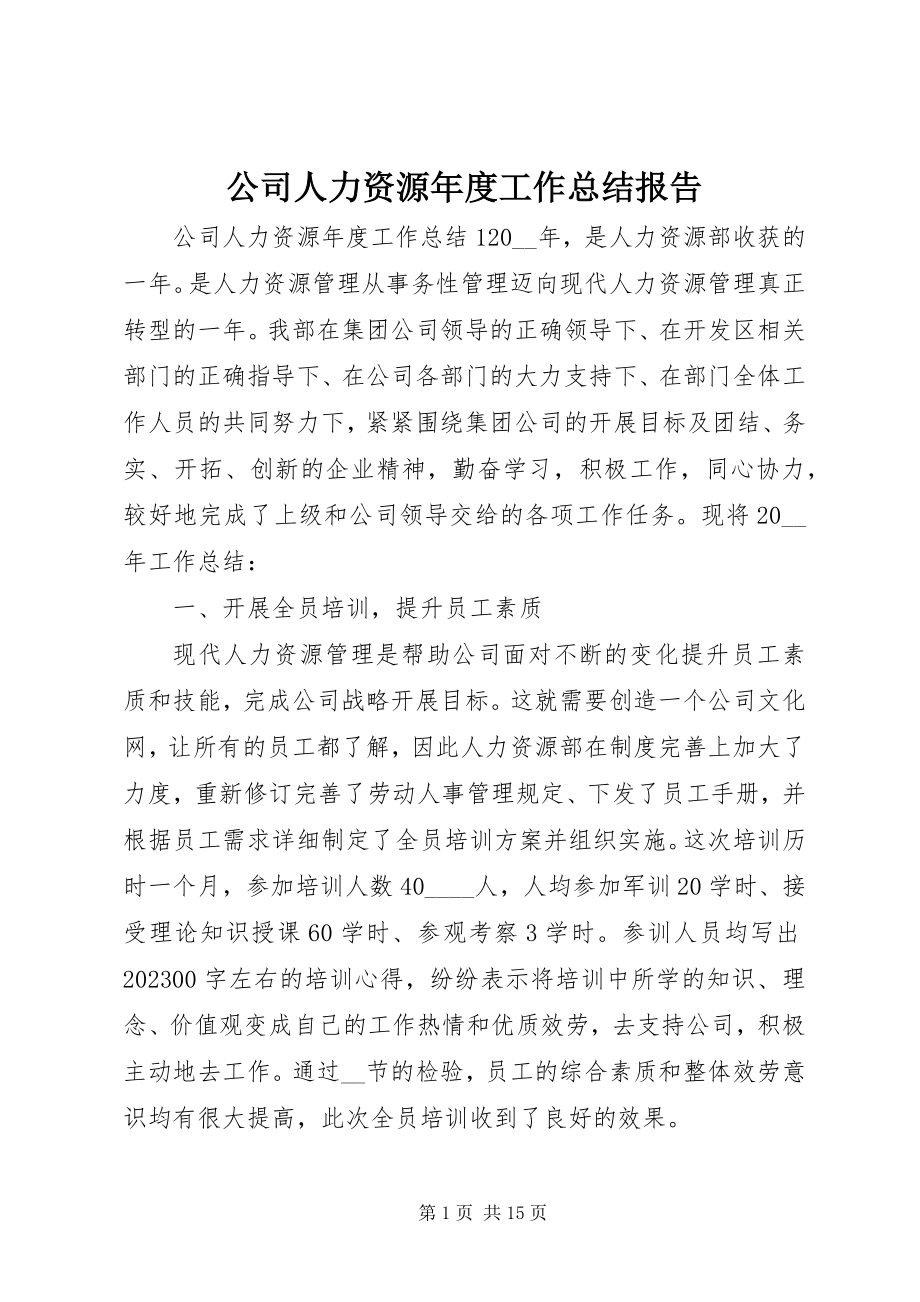 2023年公司人力资源年度工作总结报告.docx_第1页