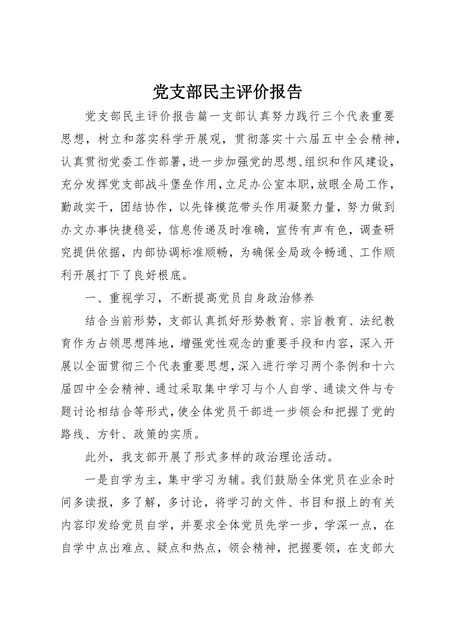 2023年党支部民主评价报告.docx_第1页