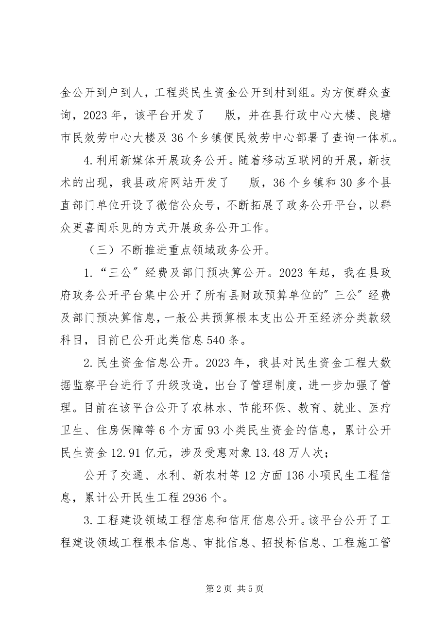 2023年全面推进政务公开自查情况报告.docx_第2页