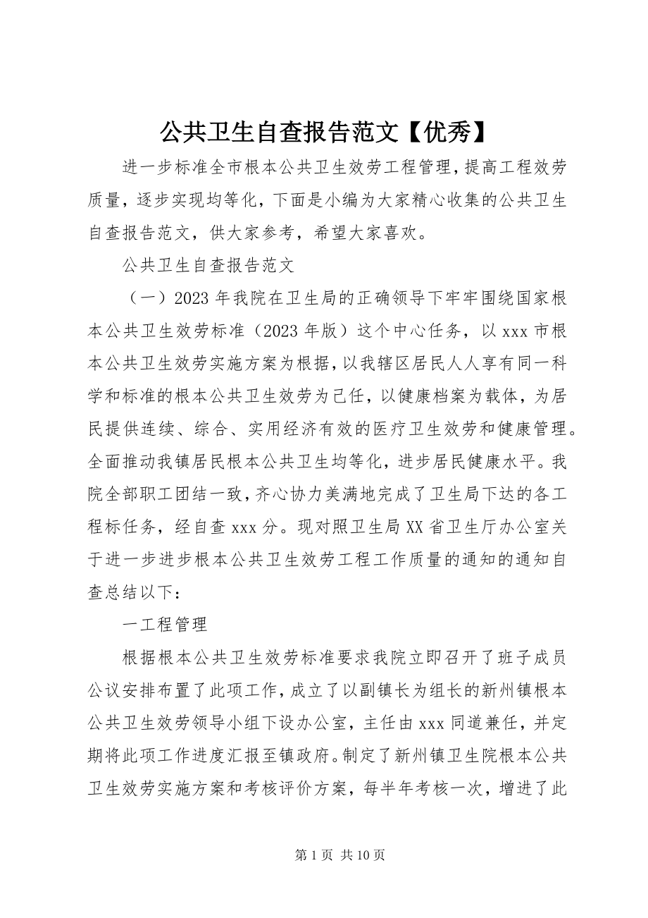 2023年公共卫生自查报告优秀.docx_第1页