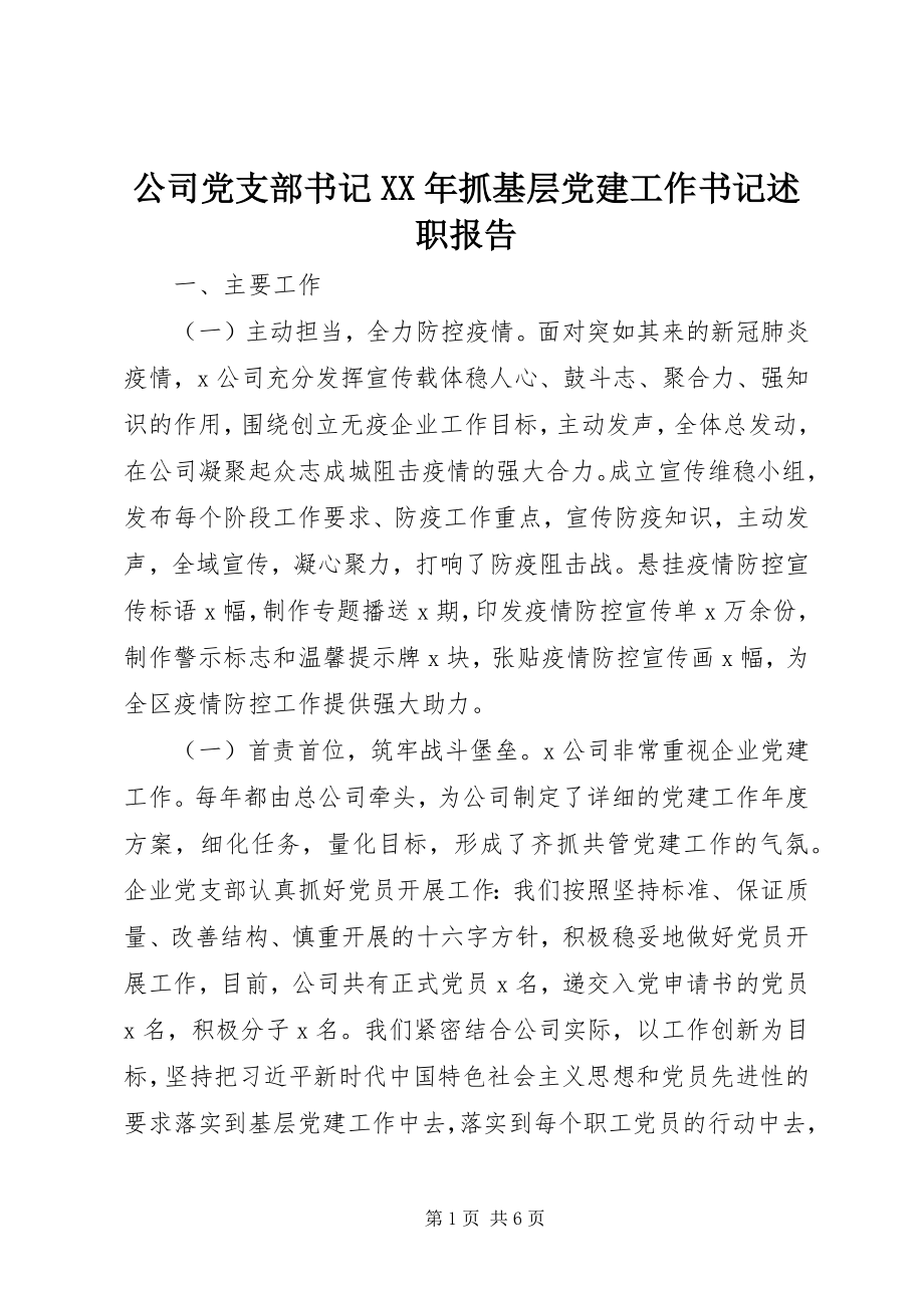 2023年公司党支部书记某年抓基层党建工作书记述职报告.docx_第1页