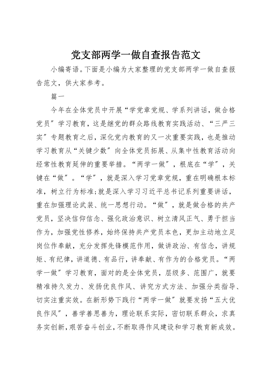 2023年党支部两学一做自查报告.docx_第1页