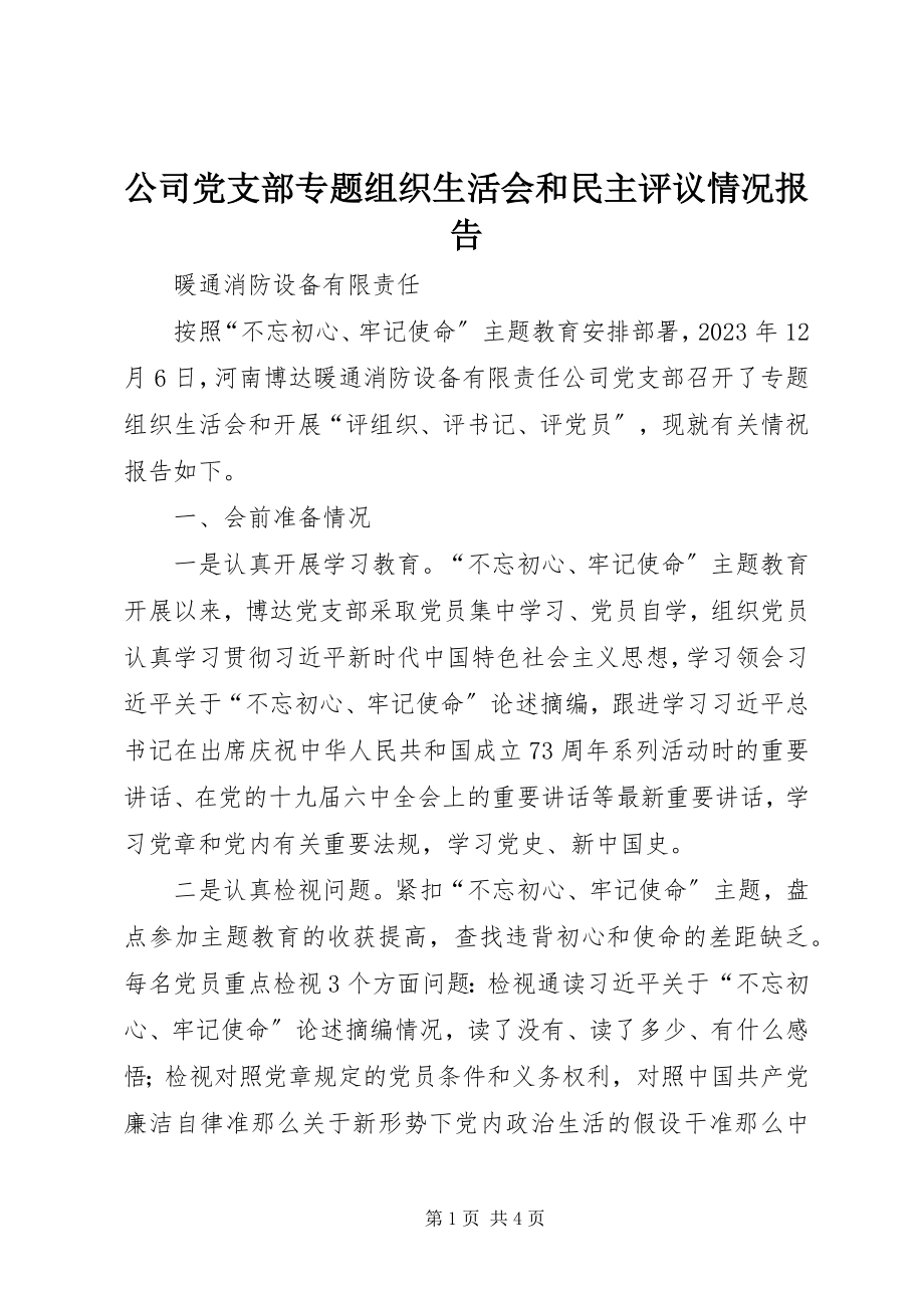 2023年公司党支部专题组织生活会和民主评议情况报告.docx_第1页