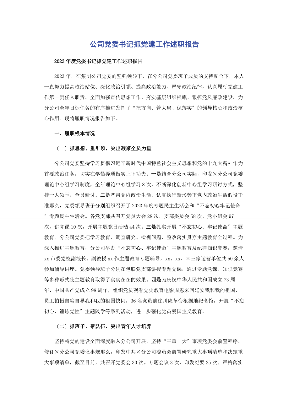 2023年公司党委书记抓党建工作述职报告2.docx_第1页