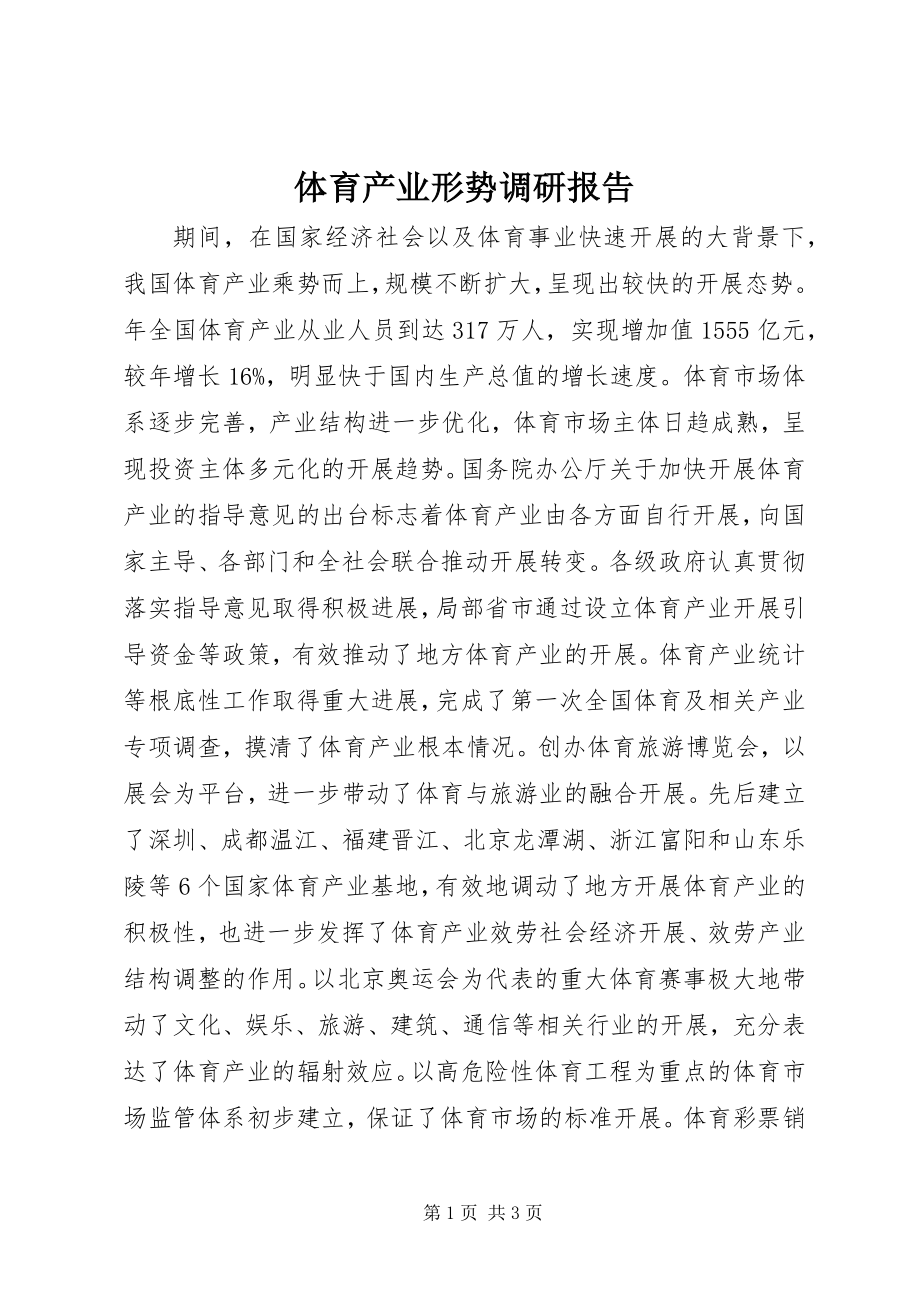 2023年体育产业形势调研报告.docx_第1页