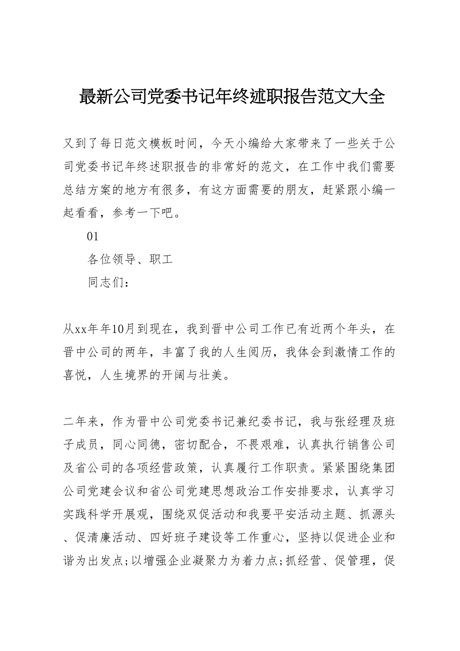 2023年公司党委书记年终述职报告范文大全.doc_第1页