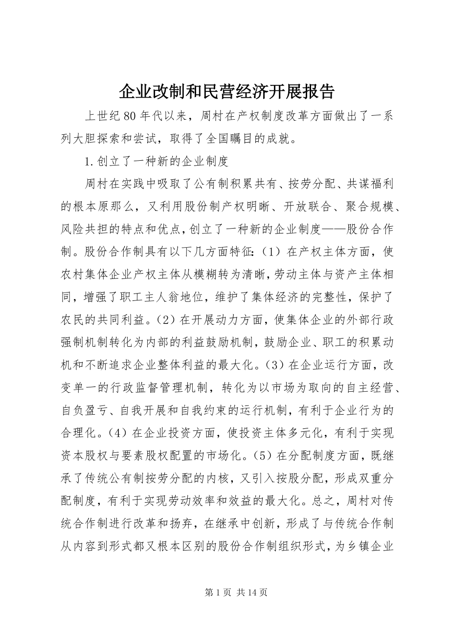 2023年企业改制和民营经济发展报告.docx_第1页