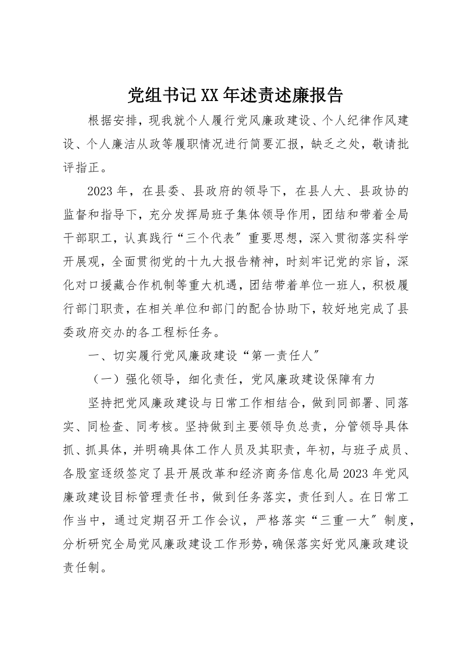 2023年党组书记某年述责述廉报告.docx_第1页