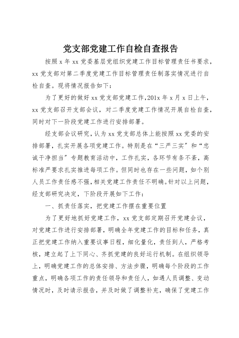 2023年党支部党建工作自检自查报告.docx_第1页