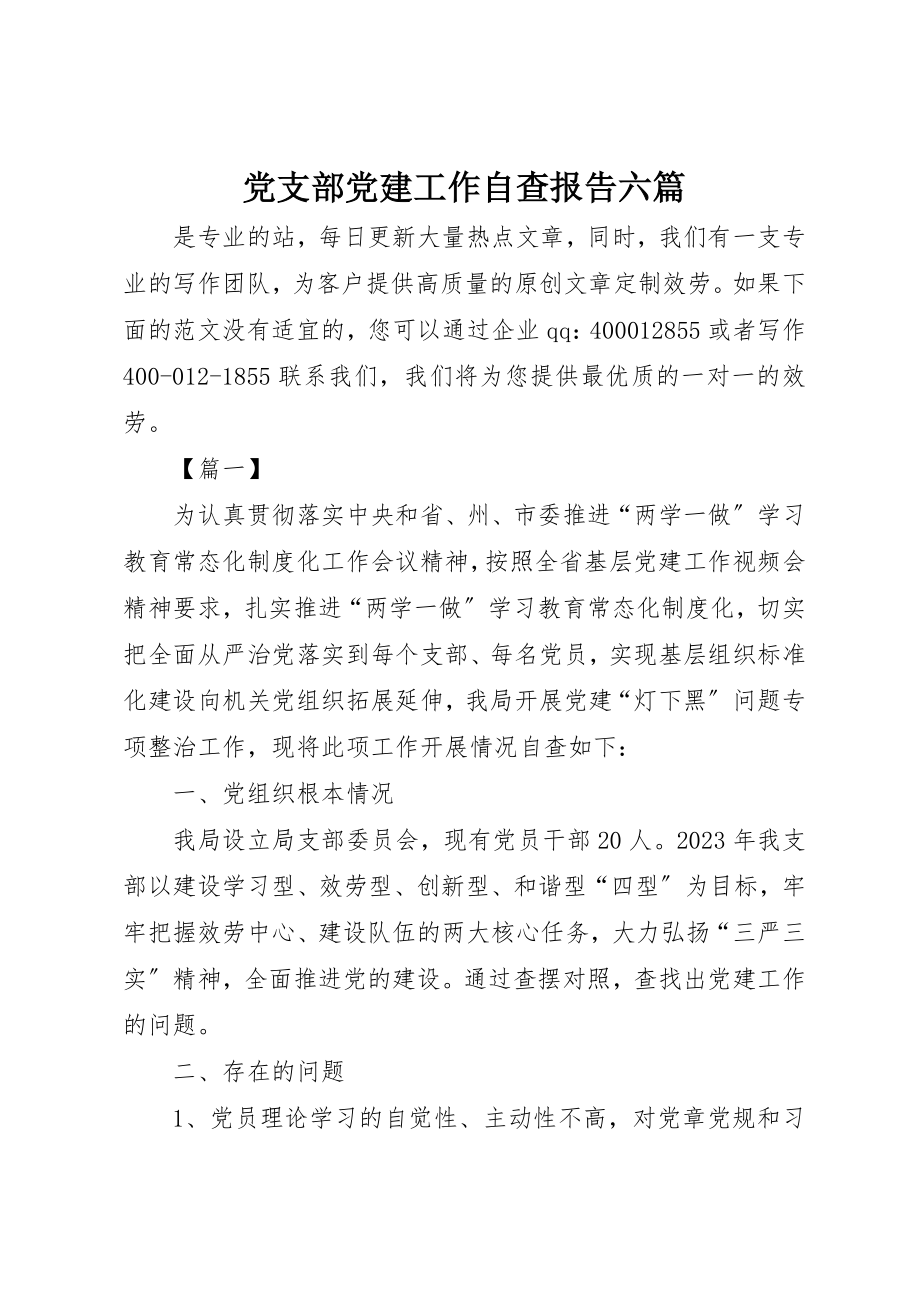 2023年党支部党建工作自查报告六篇.docx_第1页