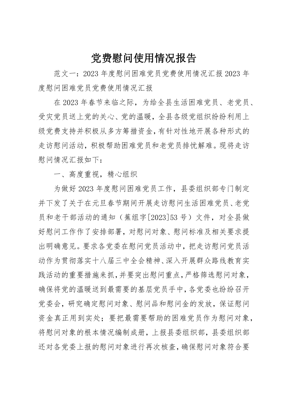 2023年党费慰问使用情况报告.docx_第1页