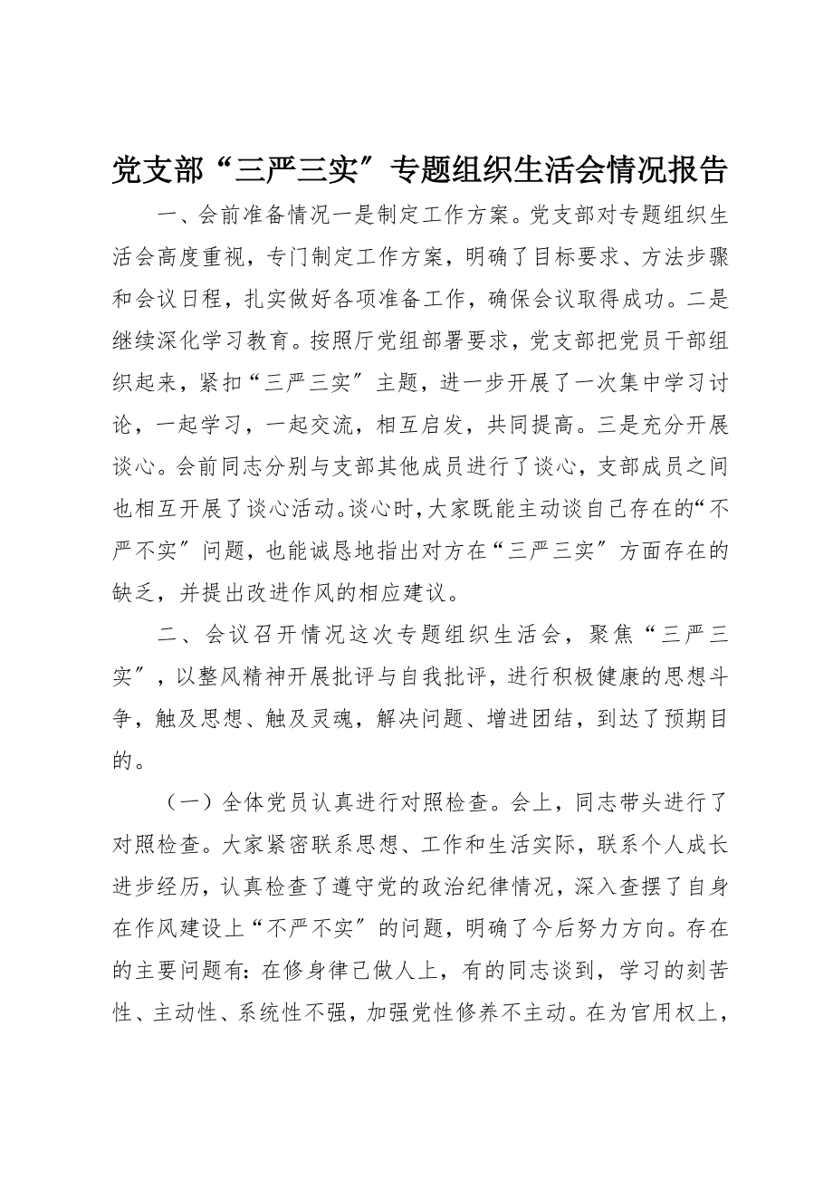 2023年党支部“三严三实”专题组织生活会情况报告.docx_第1页