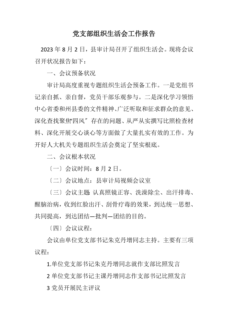 2023年党支部组织生活会工作报告.docx_第1页