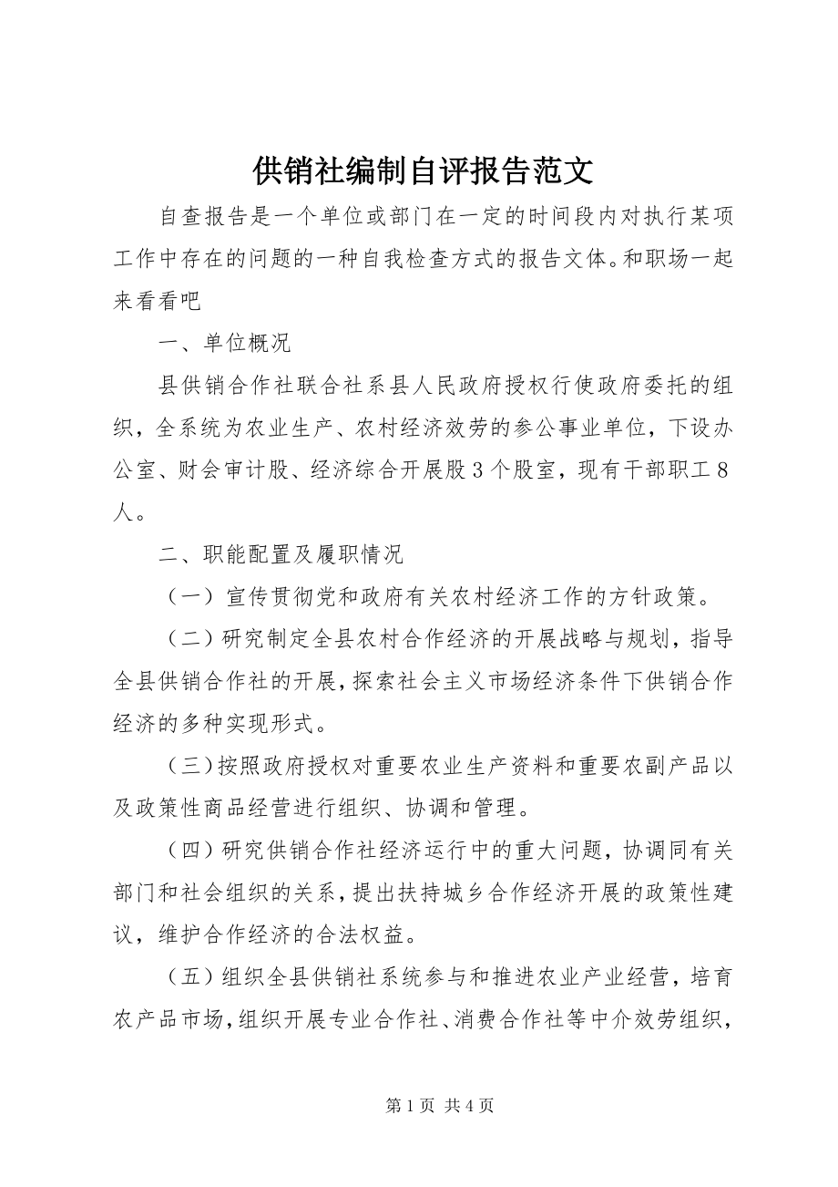 2023年供销社编制自评报告2.docx_第1页