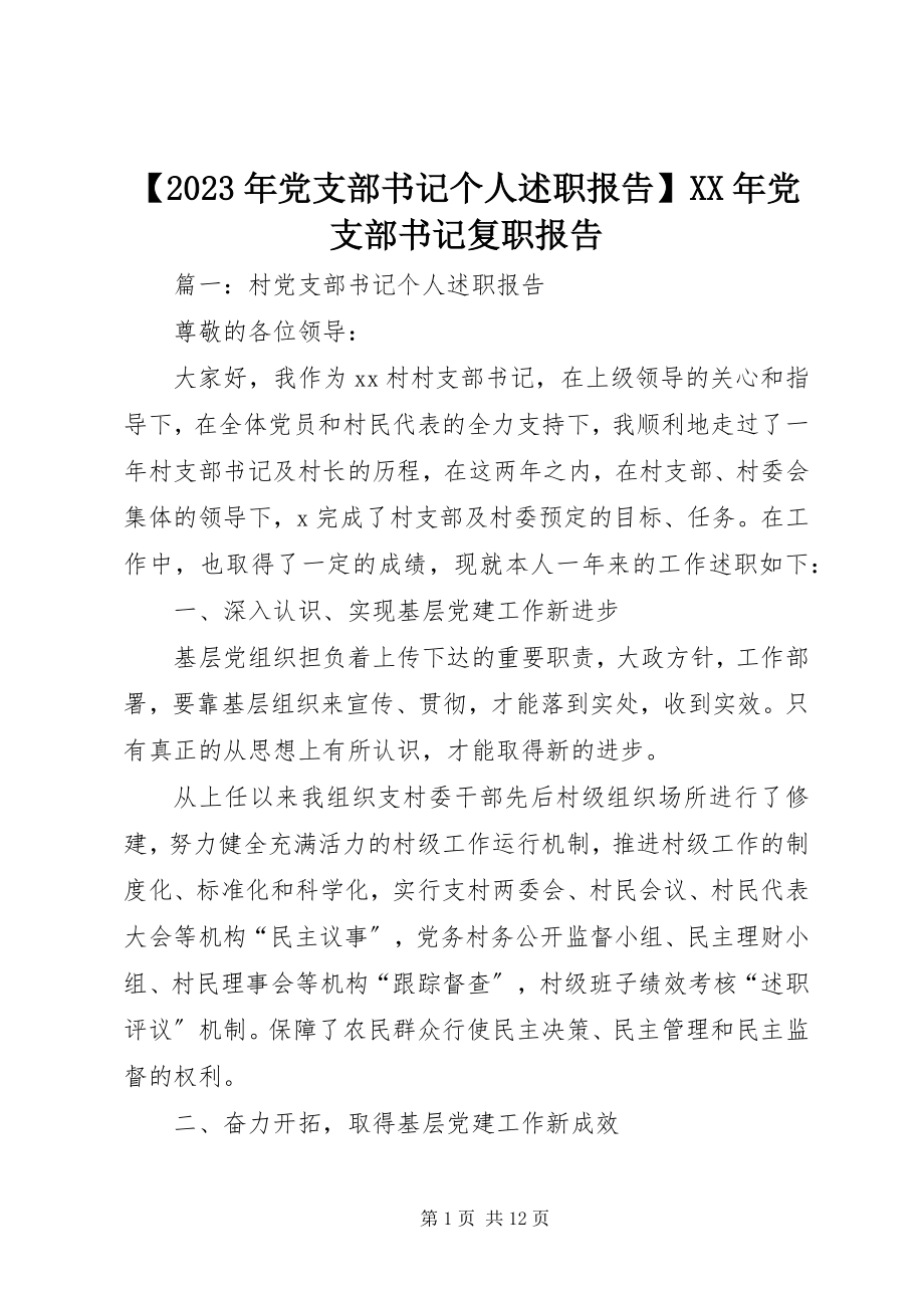 2023年党支部书记个人述职报告党支部书记复职报告新编.docx_第1页