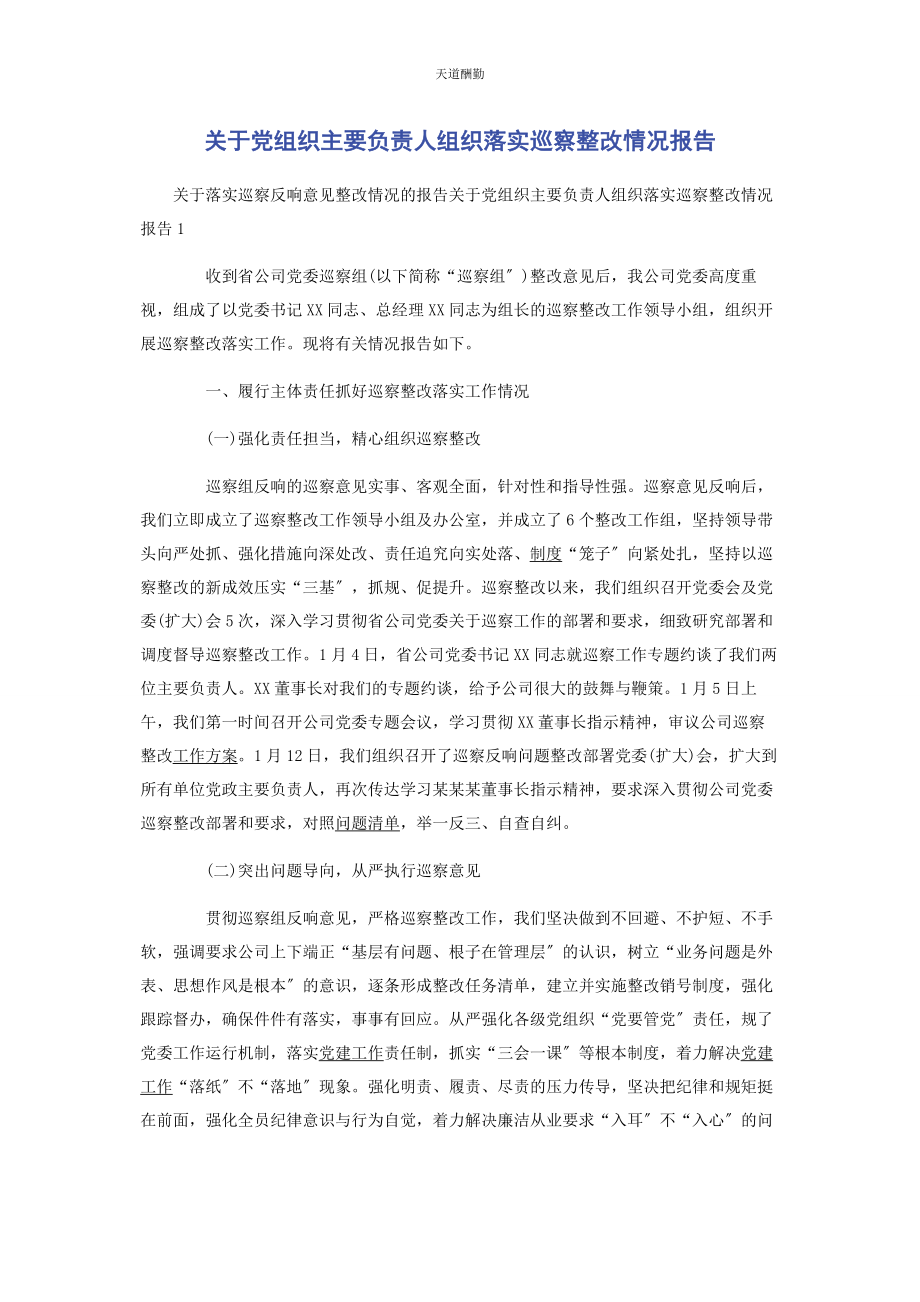 2023年党组织主要负责人组织落实巡察整改情况报告2.docx_第1页