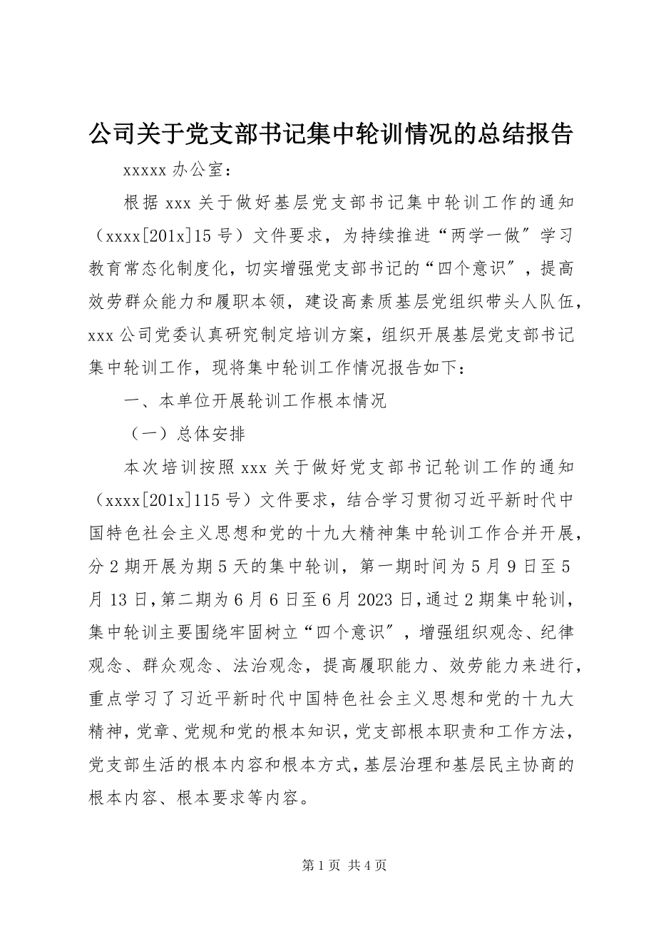 2023年公司党支部书记集中轮训情况的总结报告.docx_第1页