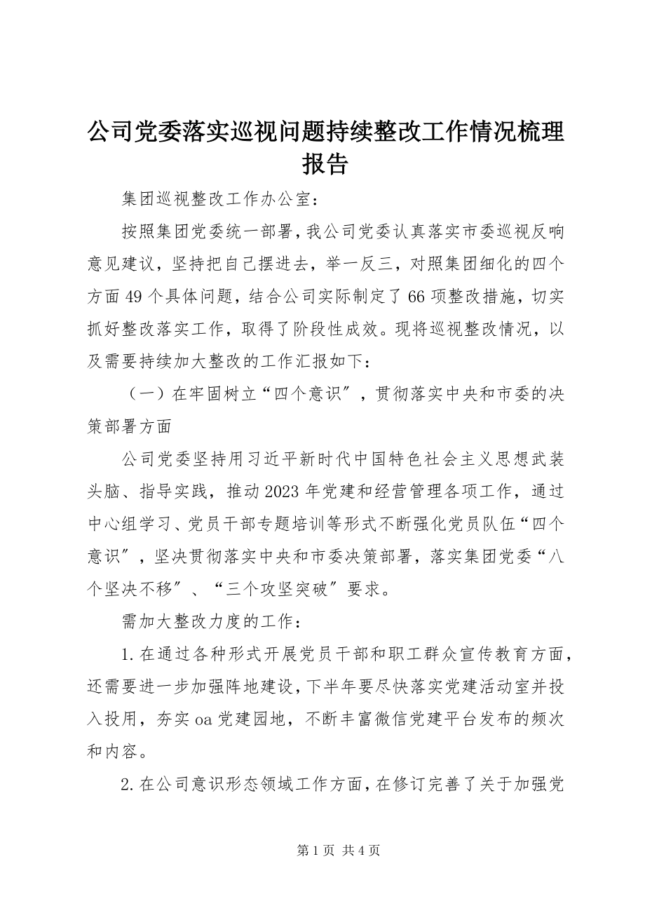 2023年公司党委落实巡视问题持续整改工作情况梳理报告.docx_第1页