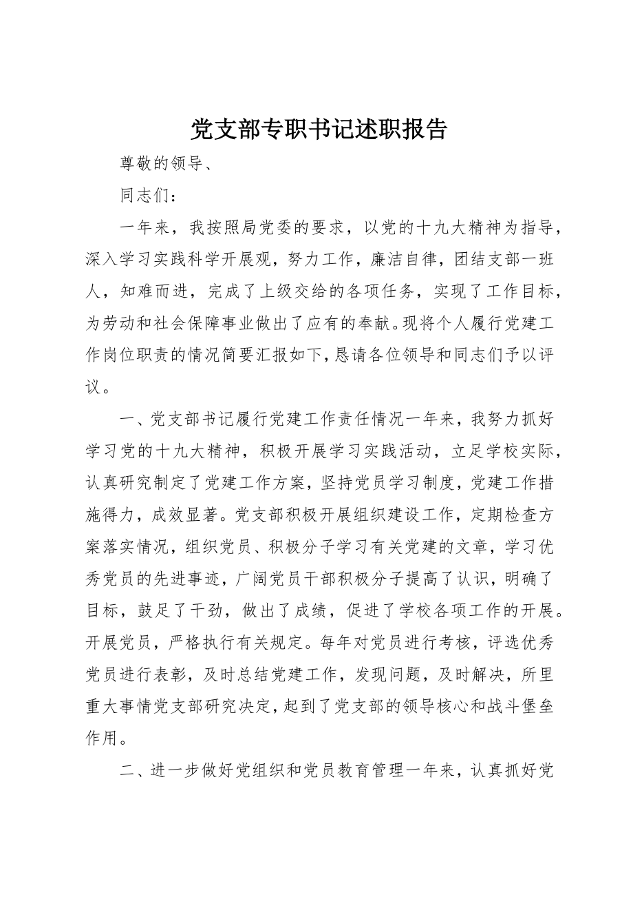 2023年党支部专职书记述职报告.docx_第1页