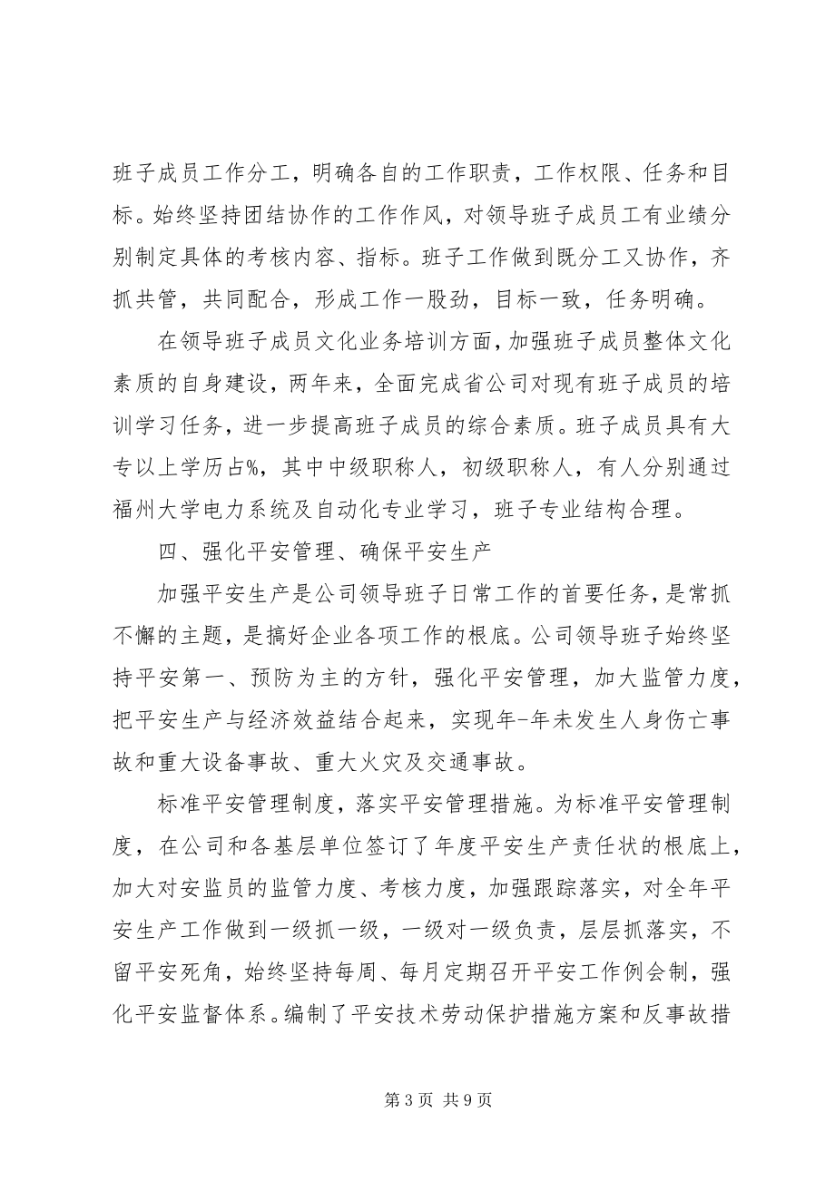 2023年企业班子年度述职报告.docx_第3页