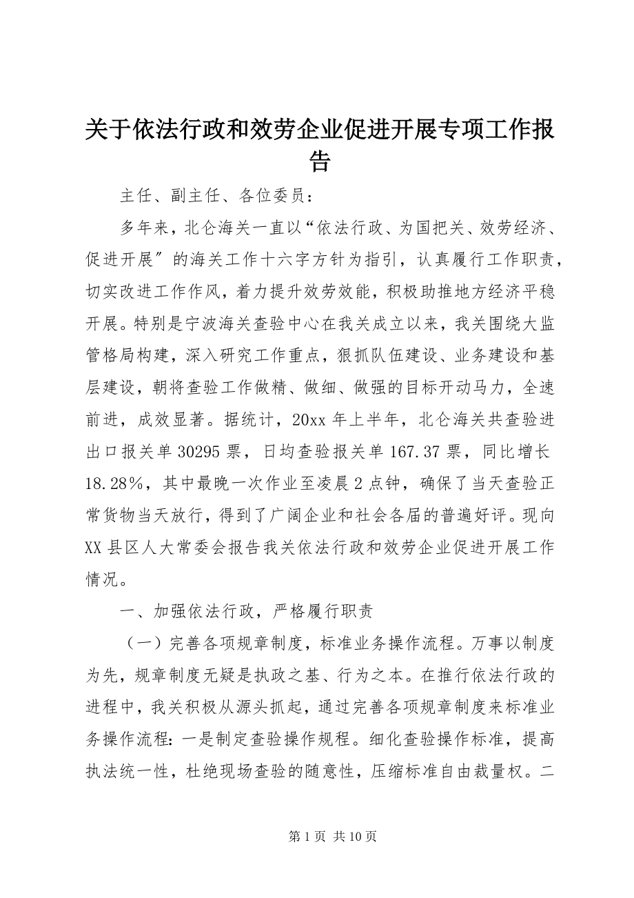 2023年依法行政和服务企业促进发展专项工作报告.docx_第1页