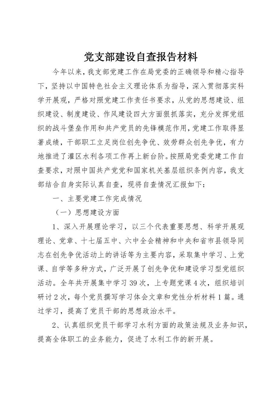 2023年党支部建设自查报告材料.docx_第1页