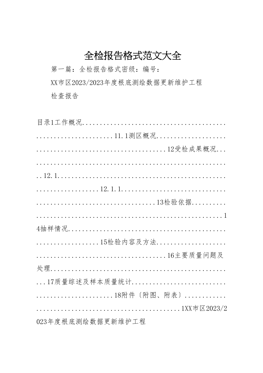 2023年全检报告格式范文大全.doc_第1页