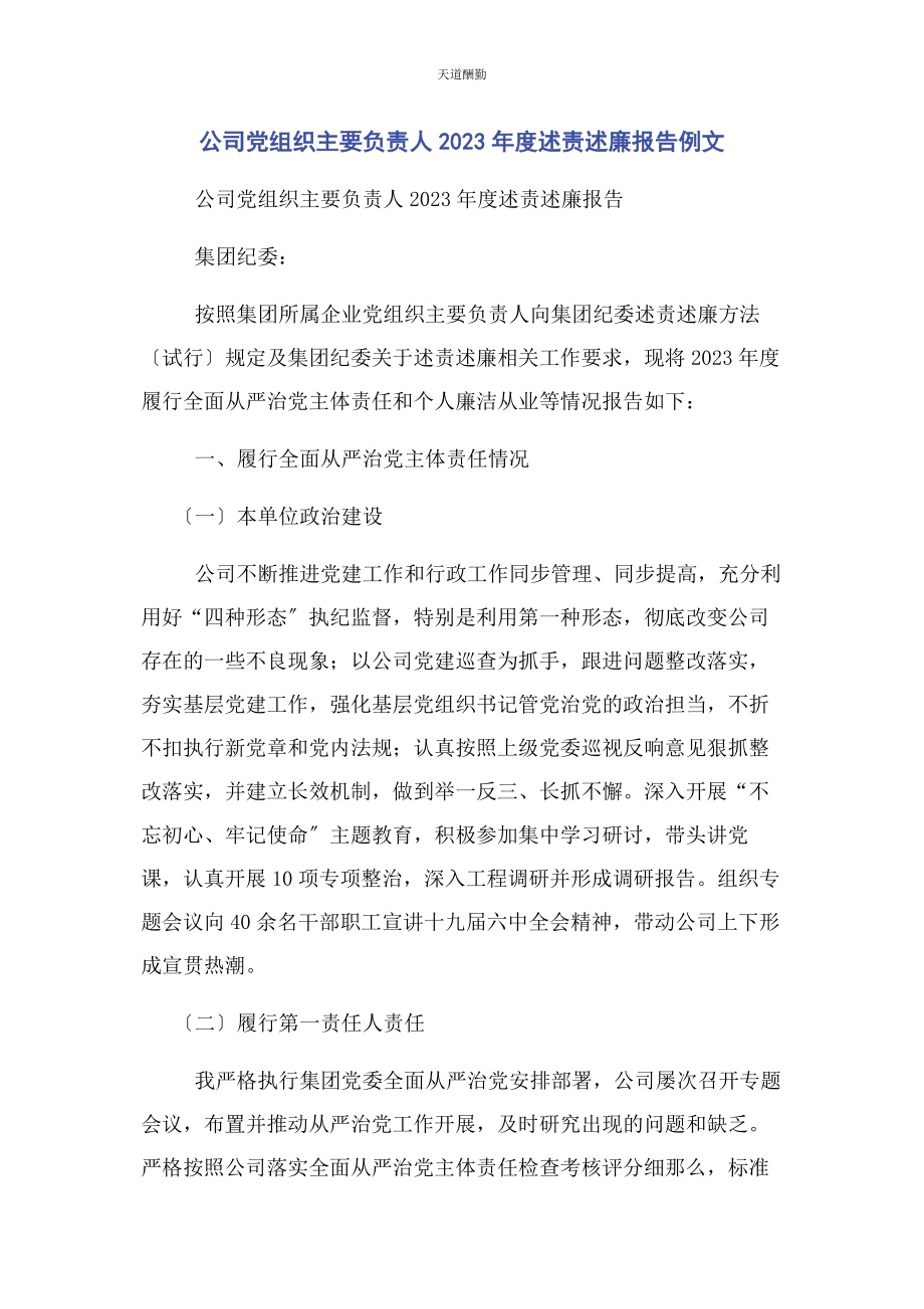 2023年公司党组织主要负责人度述责述廉报告例文.docx_第1页