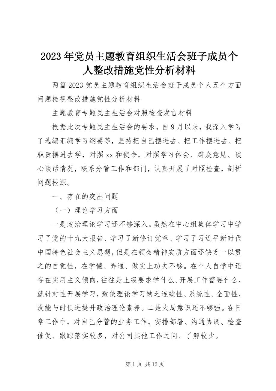 2023年党员主题教育组织生活会班子成员个人整改措施党性分析材料.docx_第1页