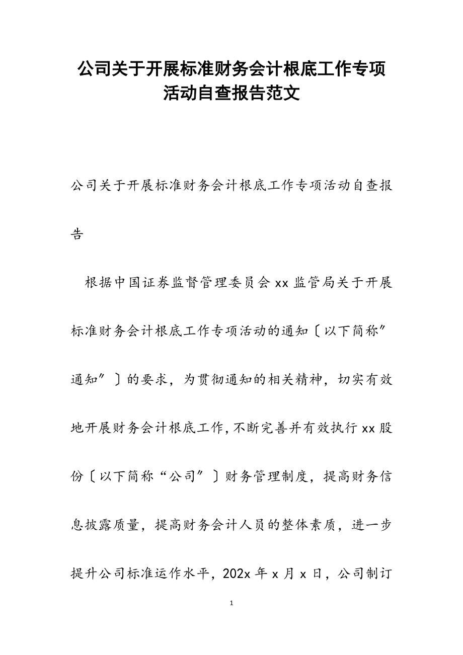 2023年公司关于开展规范财务会计基础工作专项活动自查报告.docx_第1页