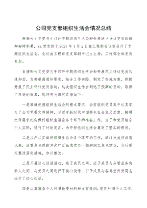 2023年公司党支部组织生活会情况总结工作总结汇报报告.docx