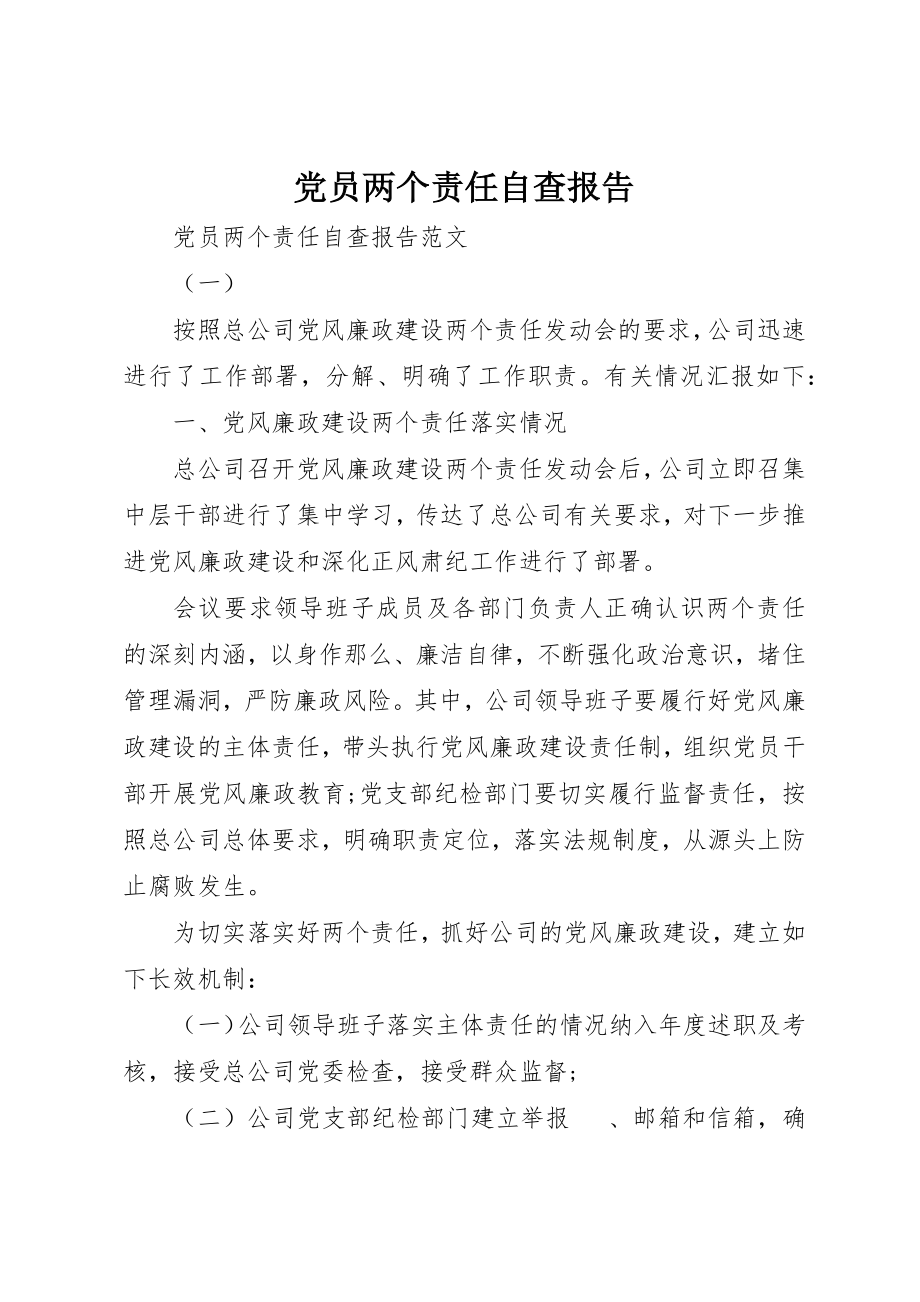 2023年党员两个责任自查报告.docx_第1页