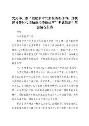 2023年党支部开展“激励新时代新担当新作为加快建设新时代团结进步美丽红河”专题组织生活会情况报告.docx