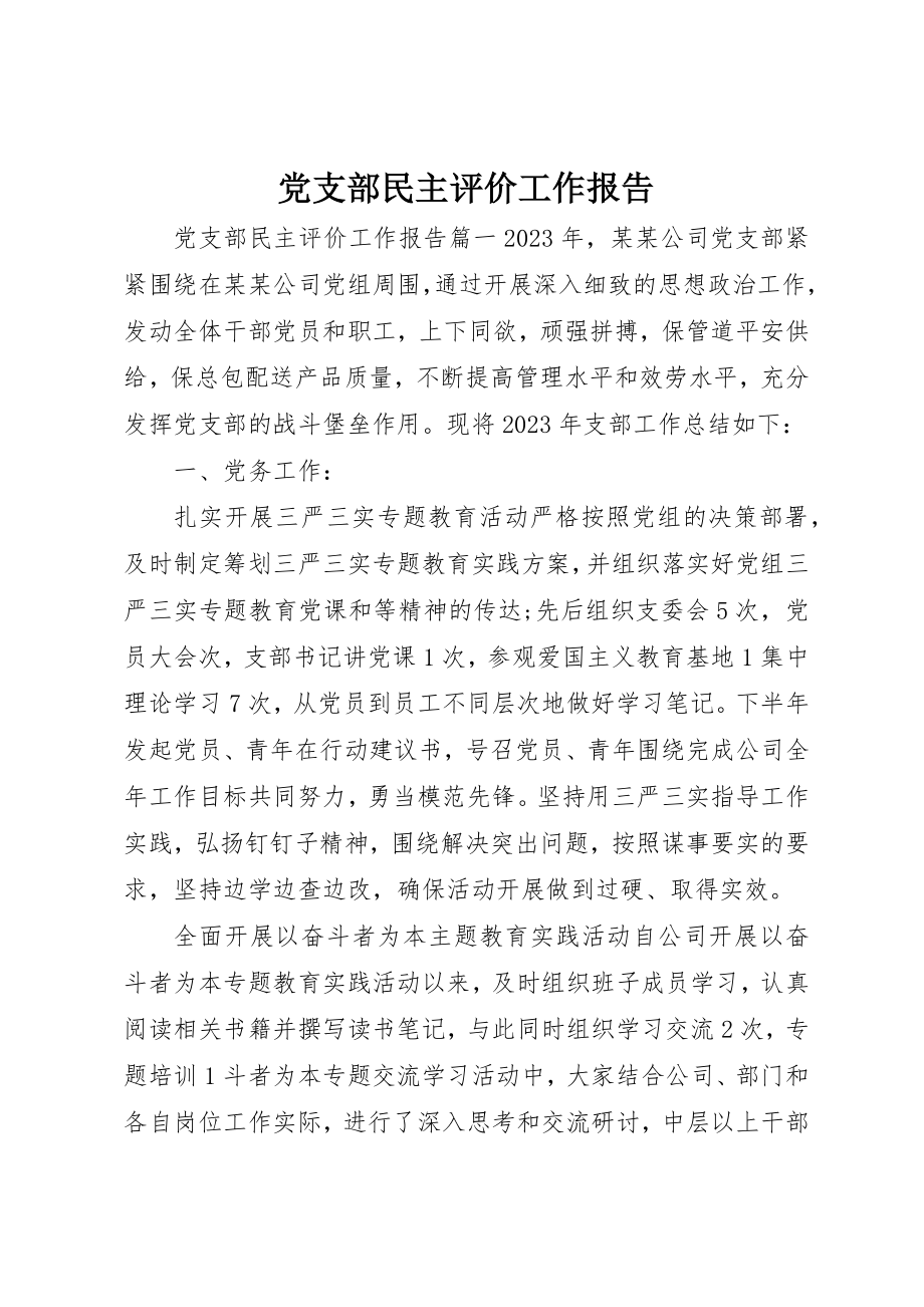 2023年党支部民主评价工作报告.docx_第1页