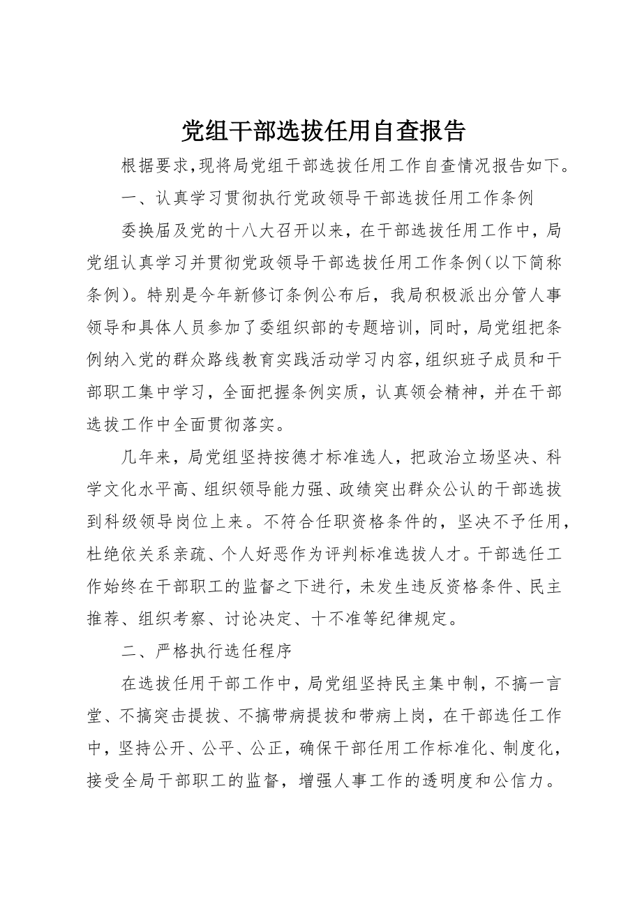 2023年党组干部选拔任用自查报告新编.docx_第1页