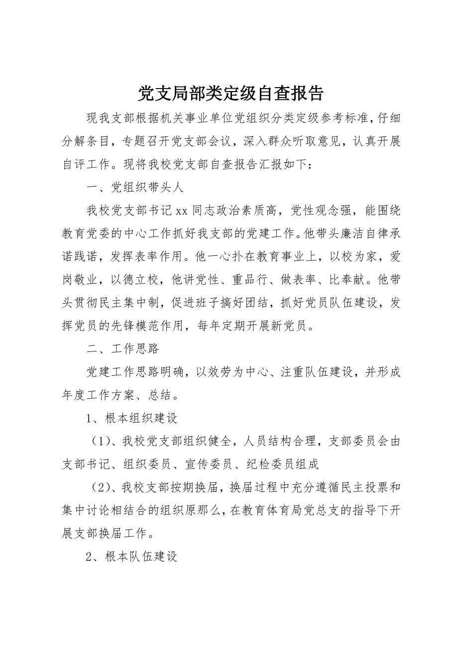 2023年党支部分类定级自查报告.docx_第1页