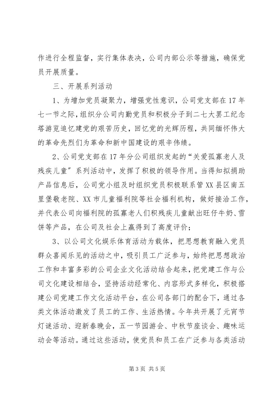 2023年公司党小组工作总结报告.docx_第3页